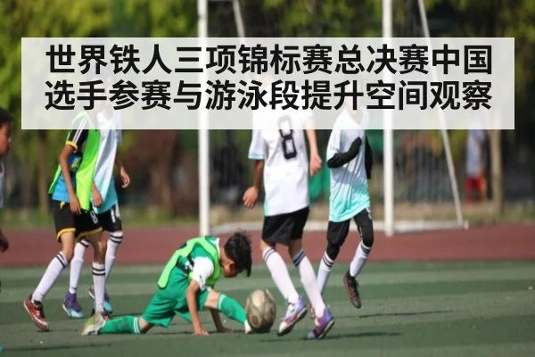 世界铁人三项锦标赛总决赛中国选手参赛与游泳段提升空间观察